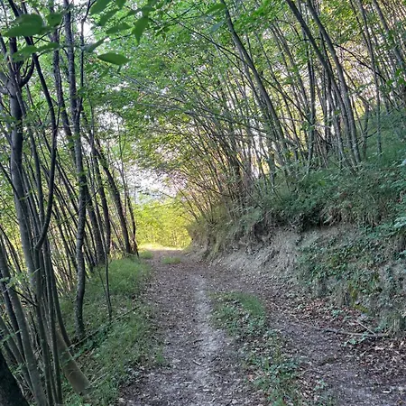 Vessa 3